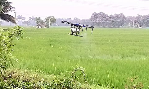 டிரோன் மூலம்&nbsp; யூரியா தெளிப்பு.