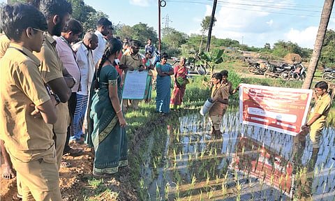 ஜெகதாப் கிராமத்தில் திருந்திய நெல் சாகுபடியில் வயல் நீர் குழாயின்  பயன்பாடு பற்றிய செயல் முறை விளக்கம் மாணவர்களால் எடுத்துரைக்கப்பட்டது.