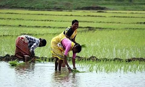 கோப்புபடம்