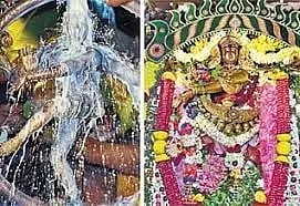 பேரூர் பட்டீஸ்வரர் கோவிலில் ஆருத்ரா தரிசன விழா