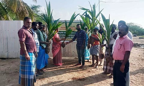 விவசாயிகளுக்கு  தென்னங்கன்றுகள் வழங்கப்பட்டபோது எடுத்த படம்.