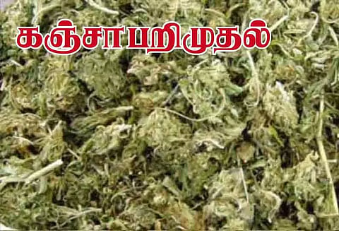 கஞ்சா வைத்திருந்த 3 வாலிபர்கள் கைது