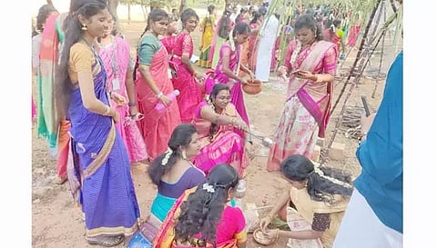 வல்லம் பெரியார் மணியம்மை பல்கலைகழகத்தில் சமத்துவ பொங்கல் விழா கொண்டாட்டம்