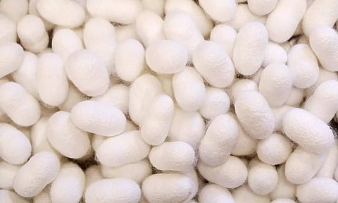 கோப்புபடம்.&nbsp;