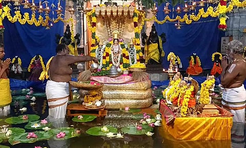 உடுமலை நவநீதகிருஷ்ணன் கோவிலில் தெப்ப உற்சவம்