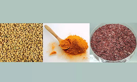 மகளிர் நலனில் சித்த மருத்துவம்: மார்பகம் சார்ந்த நோய்களும், இயற்கைத் தீர்வுகளும்