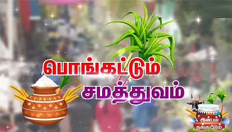 அனைத்து ஊராட்சிகளிலும் நாளைசமத்துவப் பொங்கல் விழா கொண்டாட்டம்