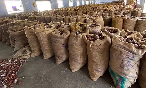 வெள்ளகோவில் வேளாண் ஒழுங்குமுறை விற்பனை கூடத்தில்ரூ.64 லட்சத்திற்கு தேங்காய் பருப்பு ஏலம்