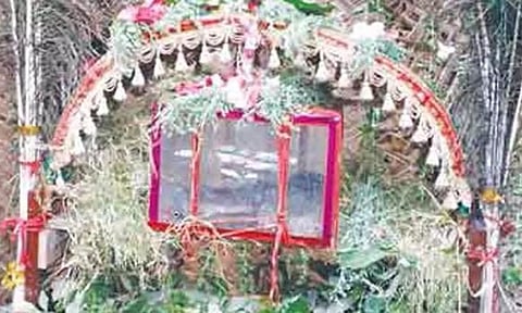 திருச்செந்தூர்  கோவிலுக்கு சர்ப்ப காவடி எடுத்து வர பக்தர்களுக்கு தடை