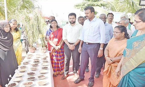 கண்காட்சியில் அமைக்கப்பட்டிருந்த உள்ளூர் பயிர் ரகங்களை கலெக்டர் அரவிந்த் பார்வையிட்ட காட்சி.

