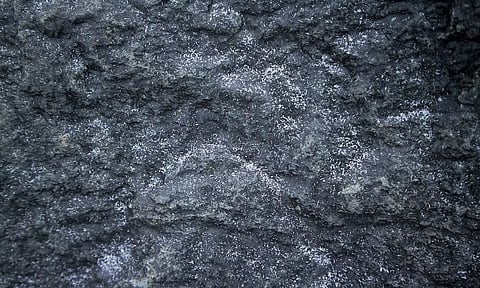கோப்பு படம்&nbsp;