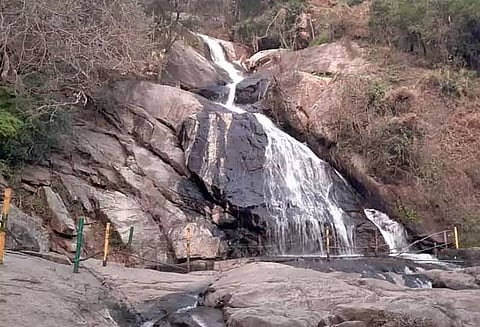 குரங்கு நீர்வீழ்ச்சி வர சுற்றுலா பயணிகளுக்கு தடை