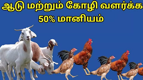 கால்நடை வளர்ப்புக்கு 50 சதவீதம் மானியம்