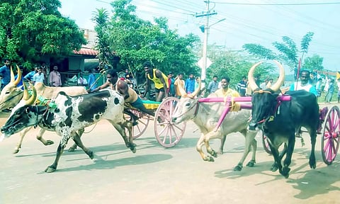 பந்தயத்தில் சீறிப்பாய்ந்து ஓடும் மாட்டு வண்டிகள்.