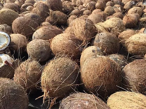 வெப்பிலி விற்பனைக்கூடத்தில் ரூ.34 ஆயிரத்துக்கு தேங்காய் ஏலம்
