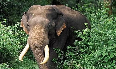 கோப்புபடம்.&nbsp;