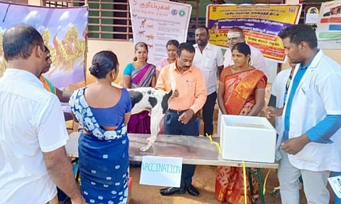 வெறிநோய் தடுப்பூசி முகாம்