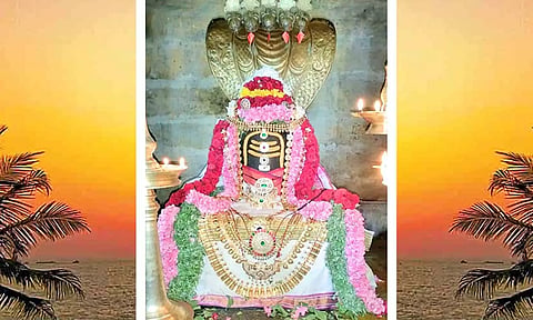 முக்காணி சிவாலயத்தில் மகா சிவராத்திரி வழிபாடு