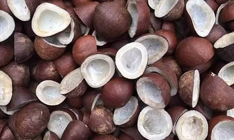 முத்தூா் ஒழுங்குமுறை விற்பனைக்கூடத்தில்  3.50 டன் தேங்காய்,கொப்பரை விற்பனை