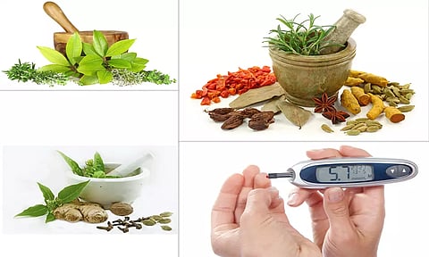 சர்க்கரை நோய்க்கு சித்த மருத்துவத்தில் சிறப்பு சிகிச்சை