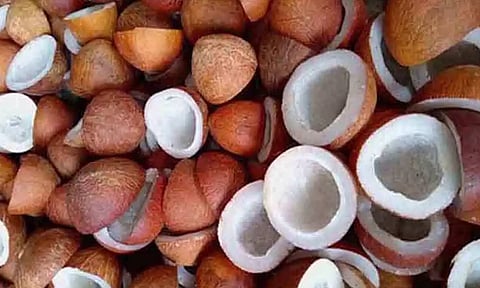 கோப்புபடம்.&nbsp;