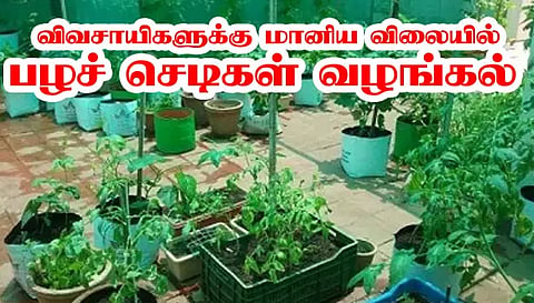 கபிலர்மலை வட்டார விவசாயிகளுக்கு மானிய விலையில் பழச் செடிகள் வழங்கல்