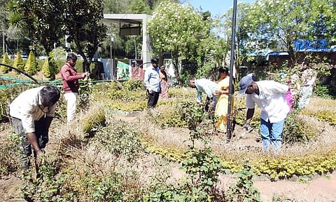 பிரையண்ட் பூங்காவில் ரோஜா செடிகளுக்கு கவாத்து பணிகள் நடைபெற்று வருகிறது.