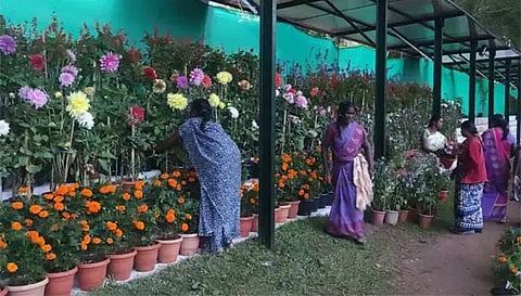 ஏற்காட்டில் மலர்கண்காட்சி ஆயத்தப் பணிகள் தொடக்கம்