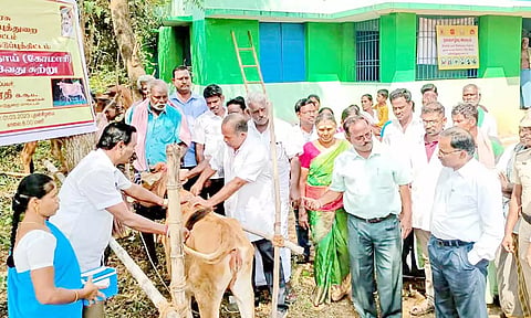 கால்நடைகளுக்கு தடுப்பூசி செலுத்தும் முகாம் மாவட்ட கலெக்டர் மகாபாரதி துவக்கி வைத்தார்.