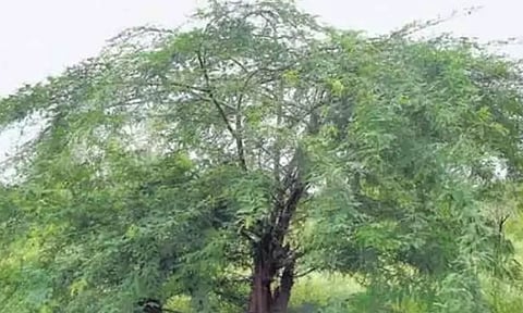 கோப்புபடம்.&nbsp;