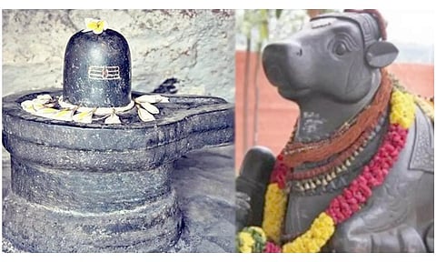 திருவாரூர் பகுதி கோவில்களில் சனிபிரதோஷ வழிபாடு