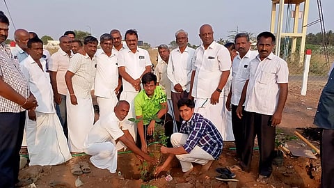 மரக்கன்றுகள் நடப்பட்ட காட்சி.&nbsp;