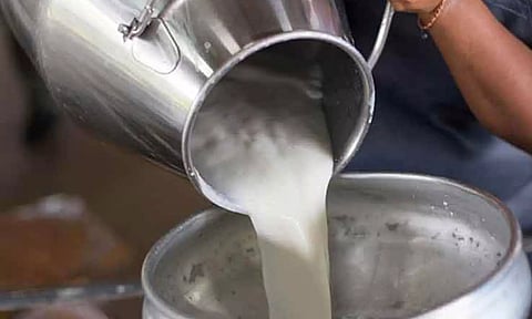கோப்புபடம்.&nbsp;