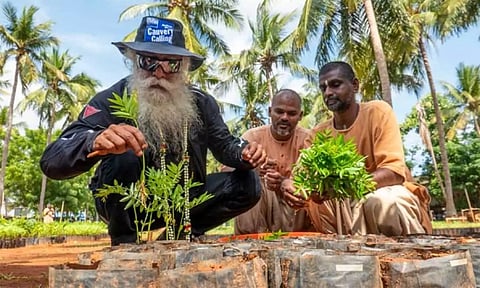ஓராண்டில் ஒரு கோடி மரக்கன்றுகளை நட்டு காவேரி கூக்குரல் இயக்கம் புதிய சாதனை!