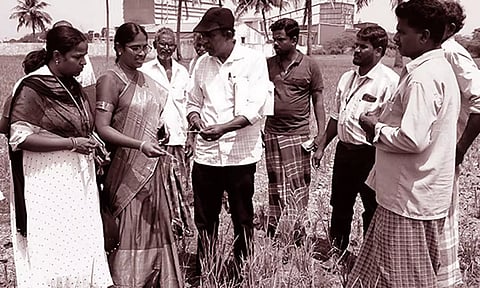 கும்மிடிப்பூண்டி வட்டாரத்தில் பாதிக்கப்பட்ட 110 ஏக்கர் நெற்பயிரை அதிகாரிகள் பார்வையிட்டனர்