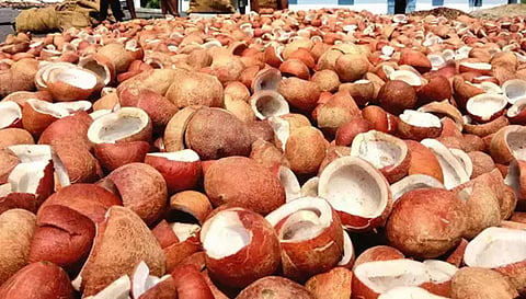 அரவை கொப்பரை அரசு கொள்முதல் மையங்கள் இன்று திறப்பு