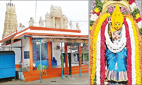 சேவூர் சக்தி மாரியம்மன் கோவிலையும், சக்தி மாரியம்மன் சிறப்பு அலங்காரத்தில் அருள்பாலித்ததையும் காணலாம்.