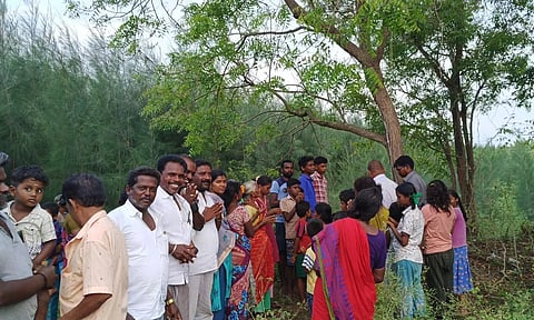 திண்டிவனம் அருகே வேப்ப மரத்தில் இருந்து பால் வடிந்ததால் பரபரப்பு- பொதுமக்கள் வழிபாடு