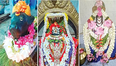 கோப்பணம் பாளையம் பரமேஸ்வரர் ஆலயத்தில் நந்தி பெருமான், பரமேஸ்வரர், எல்லையம்மன் ஆலயத்தில் ஏகாம்பரநாதர் சிறப்பு அலங்காரத்தில் இருந்த போது எடுத்த படம்.
