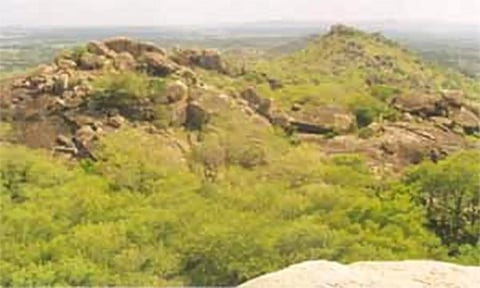 வள்ளிமலை உச்சியில் இருந்து குதித்து வாலிபர் தற்கொலை