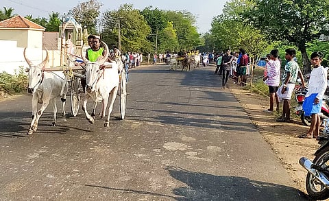 பந்தயத்தில் சீறிச்செல்லும் மாடுகள்.&nbsp;