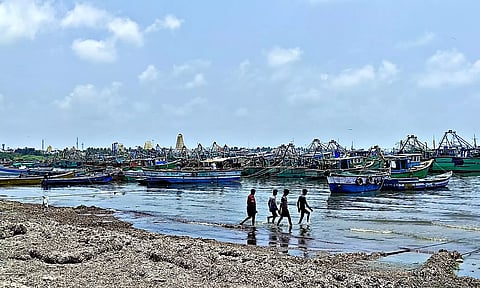 தடை காலத்தை முன்னிட்டு ராமேசுவரம் துறைமுகத்தில் நங்கூரமிட்டு நிறுத்தப்பட்டுள்ள விசைப்படகுகள்.&nbsp;