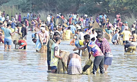பாரம்பரிய மீன்பிடி திருவிழா காளையார்கோவில் அருகே மீன்களை அள்ளி சென்ற மக்கள்