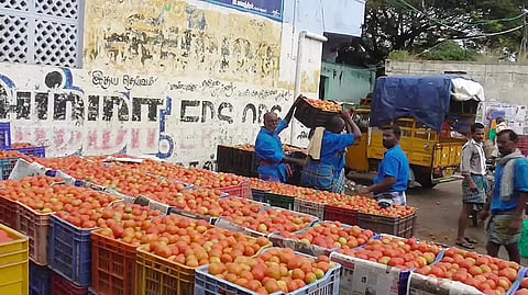 வரத்து அதிகரிப்பால்  தக்காளி விலை சரிவு
