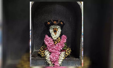 கோப்புபடம்.&nbsp;
