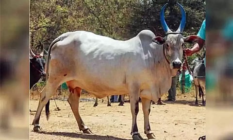 கோப்புபடம்.&nbsp;