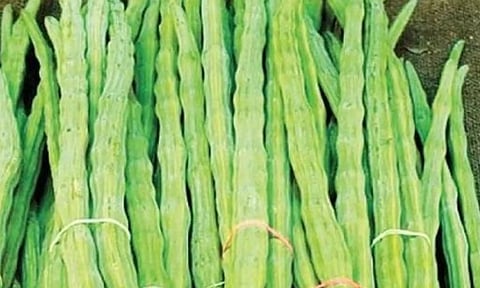 கோப்புபடம்.&nbsp;