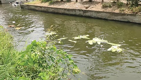 ராஜா வாய்க்காலில் வீசப்பட்ட எச்சில் இலைகளை படத்தில் காணலாம்.&nbsp;