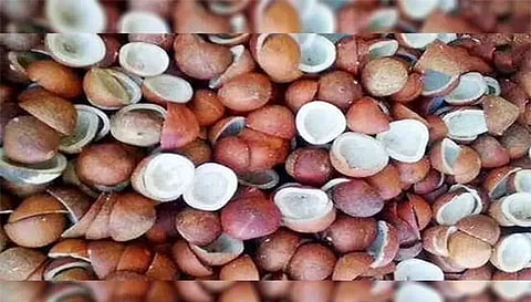 தேங்காய் பருப்பு  ரூ.5.60 லட்சத்துக்கு ஏலம்