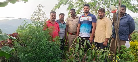 கோத்தகிரியில் வீட்டில் கஞ்சா செடி வளர்த்தவர் கைது